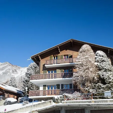 Roxes Apartment Verbier