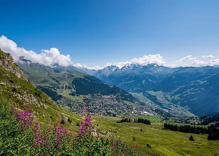 Roxes * Verbier